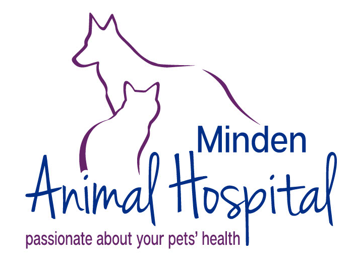 Minden Animal Hospital